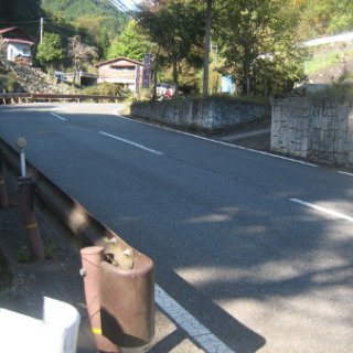 2016.11.22-42