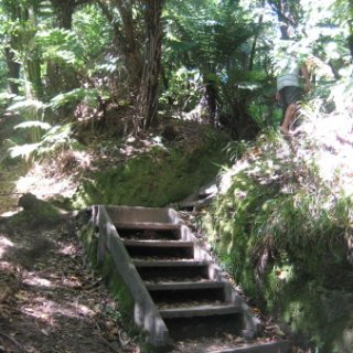 2017-NZ-036