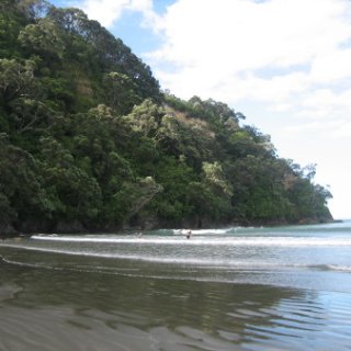 2017-NZ-048
