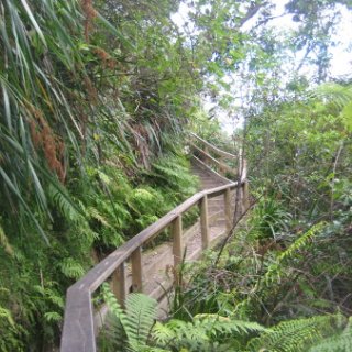 2017-NZ-050