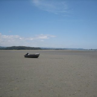 2017-NZ-060