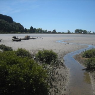 2017-NZ-075