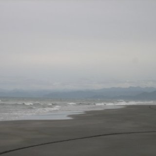 2017-NZ-081