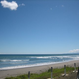 2017-NZ-086