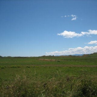 2017-NZ-087