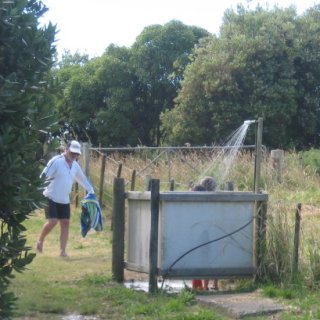 2017-NZ-094
