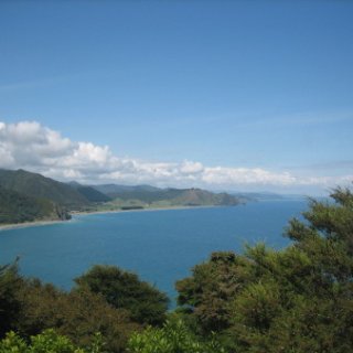 2017-NZ-101