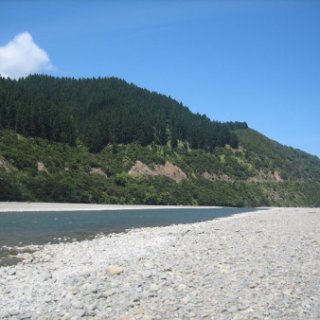 2017-NZ-102