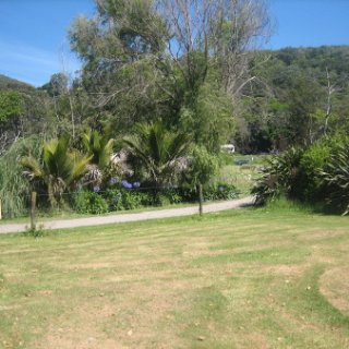2017-NZ-107