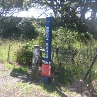 2017-NZ-112