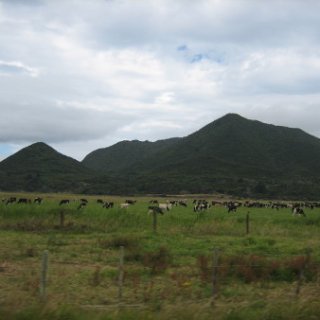 2017-NZ-120