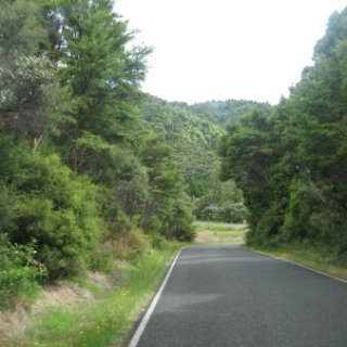 2017-NZ-123