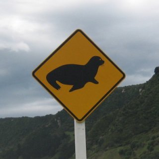 2017-NZ-136