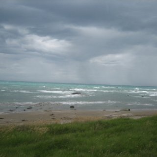 2017-NZ-142