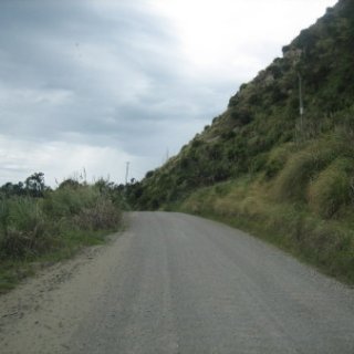 2017-NZ-141