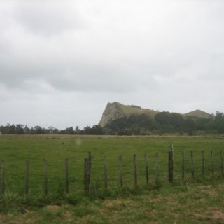2017-NZ-147
