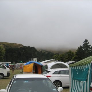 2017-NZ-155