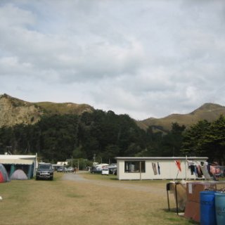 2017-NZ-157