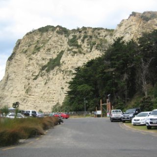 2017-NZ-159