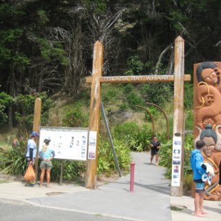 2017-NZ-160