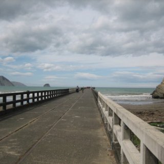 2017-NZ-161