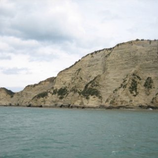 2017-NZ-169