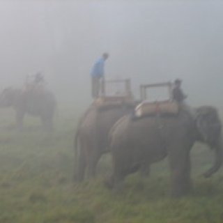 nepal2010-19