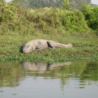 nepal2010-20