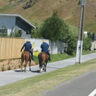2017-NZ-220