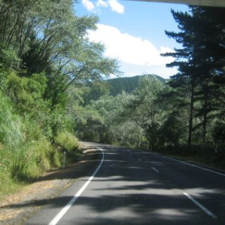 2017-NZ-225