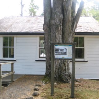 2017-NZ-233