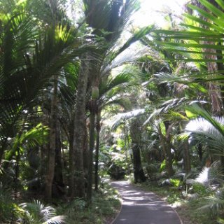 2017-NZ-237