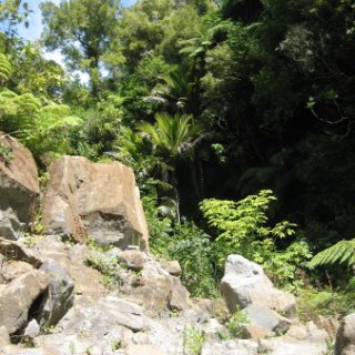 2017-NZ-249