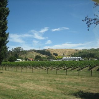 2017-NZ-280
