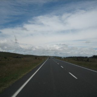 2017-NZ-291