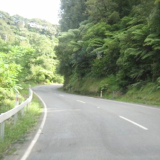 nz2017-2-008