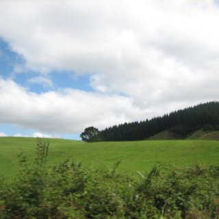 nz2017-2-010