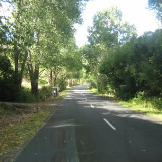 nz2017-2-023