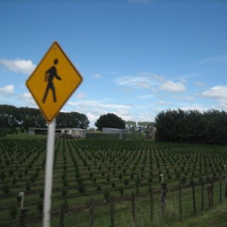 nz2017-2-027