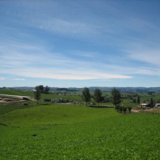 nz2017-2-043