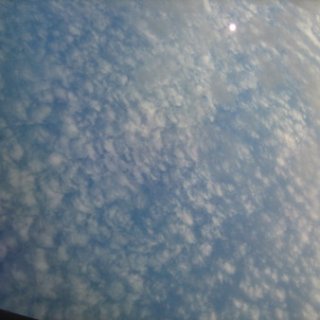 2016.08.13-015
