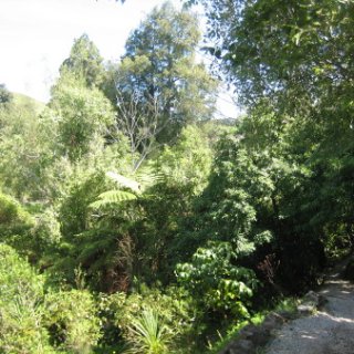nz2017-2-057