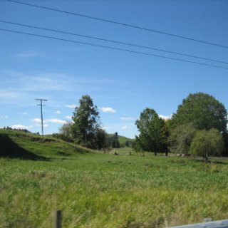 nz2017-2-067