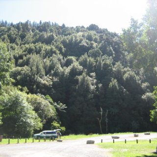 nz2017-2-070