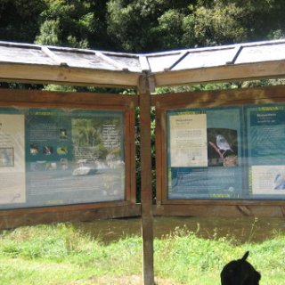 nz2017-2-075