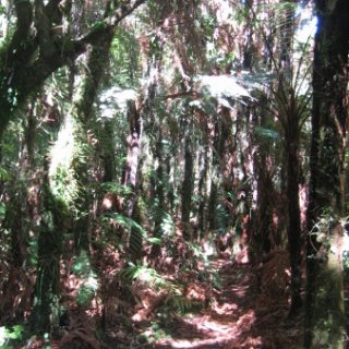 nz2017-2-090