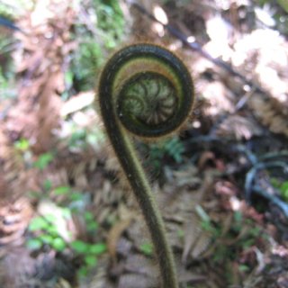 nz2017-2-091