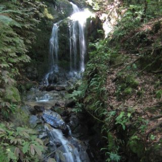 nz2017-2-094