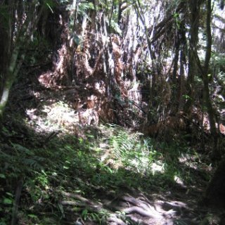 nz2017-2-095