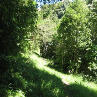 nz2017-2-097
